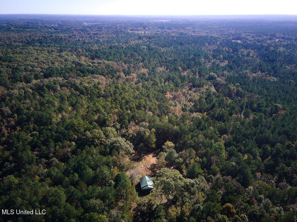 0 Green Door Road Eupora, MS 39744 - Photo 28 of 67 DJI_0015