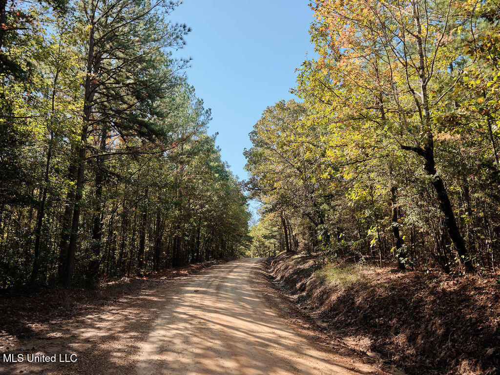 0 Green Door Road Eupora, MS 39744 - Photo 28 of 48 DSCF3300