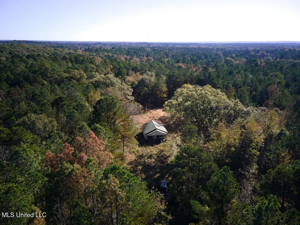 $750,000 | 0 Green Door Road, Eupora, MS 39744