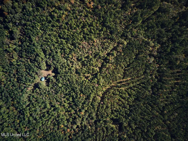 $804,600 | 0 Green Door Road, Eupora, MS 39744