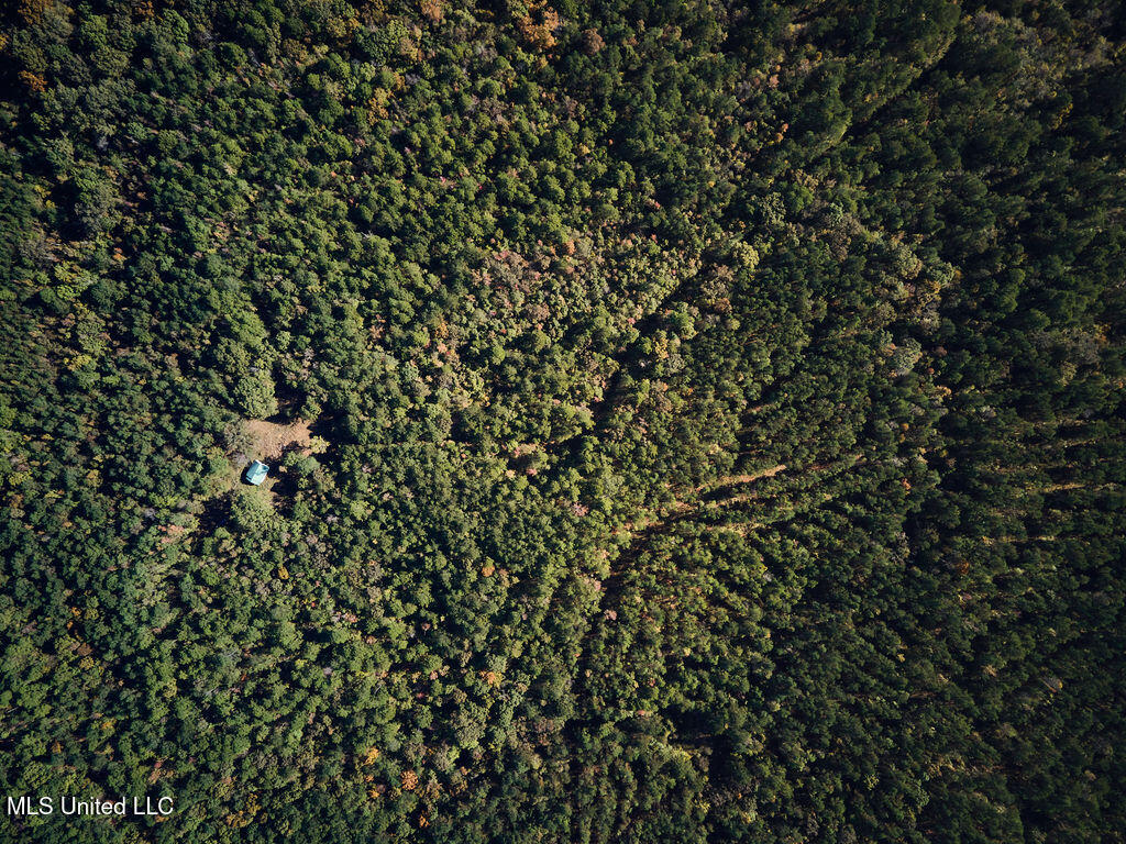 0 Green Door Road Eupora, MS 39744 - Photo 29 of 48 DJI_0013