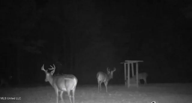 $804,600 | 0 Green Door Road, Eupora, MS 39744