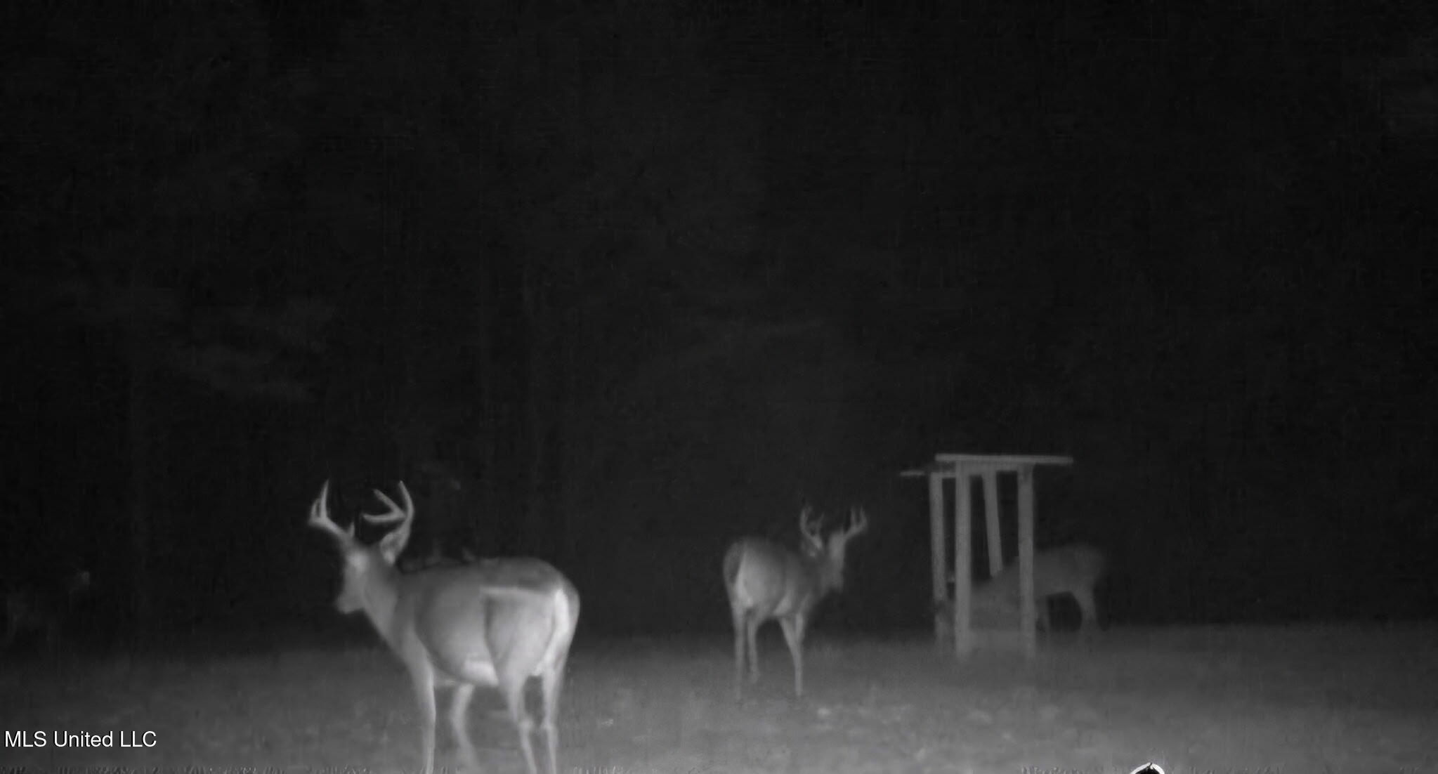 0 Green Door Road Eupora, MS 39744 - Photo 30 of 48 8554988842413132110