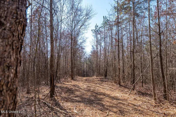 $750,000 | 0 Green Door Road, Eupora, MS 39744