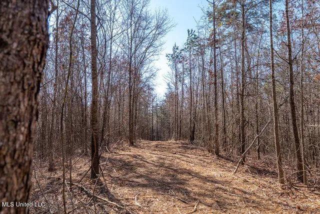 $750,000 | 0 Green Door Road, Eupora, MS 39744