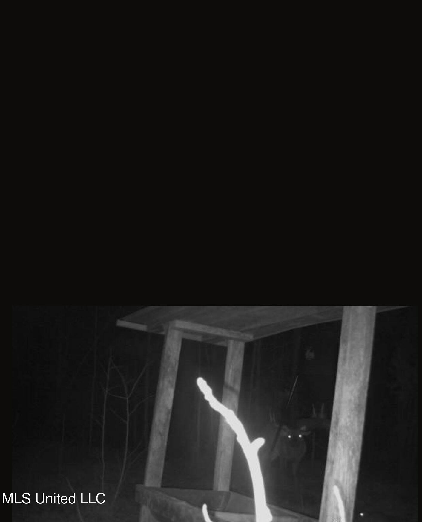 0 Green Door Road Eupora, MS 39744 - Photo 3 of 48 5316570350013835408