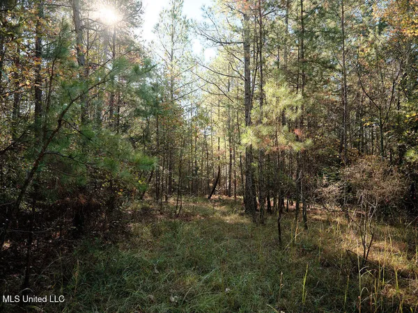 $750,000 | 0 Green Door Road, Eupora, MS 39744