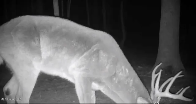 $804,600 | 0 Green Door Road, Eupora, MS 39744