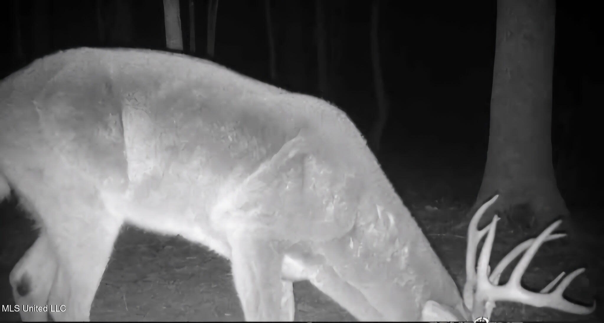 0 Green Door Road Eupora, MS 39744 - Photo 31 of 48 1296018830763082355