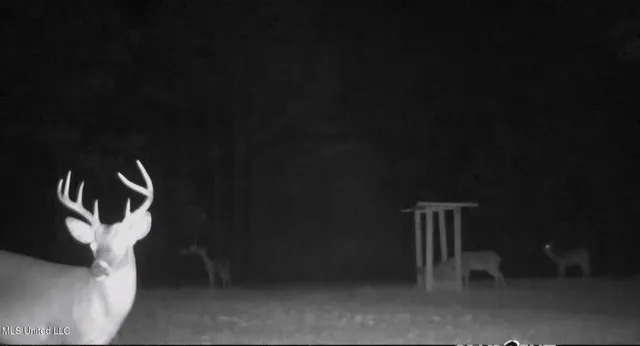 $804,600 | 0 Green Door Road, Eupora, MS 39744