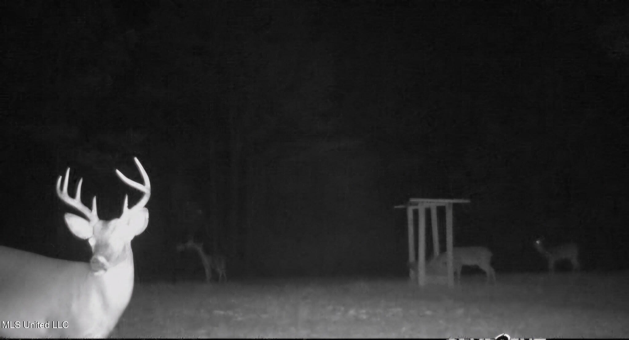 0 Green Door Road Eupora, MS 39744 - Photo 32 of 48 812278254079845277