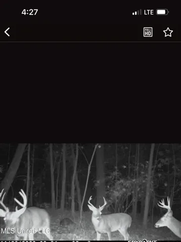 $804,600 | 0 Green Door Road, Eupora, MS 39744