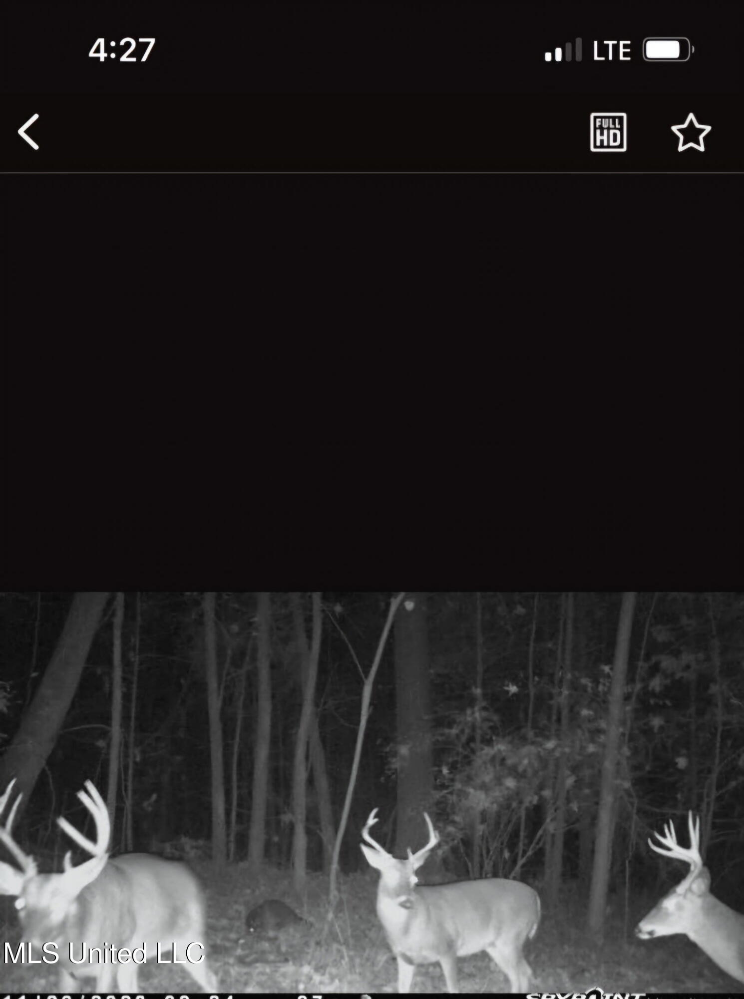 0 Green Door Road Eupora, MS 39744 - Photo 34 of 48 8976741772909173577