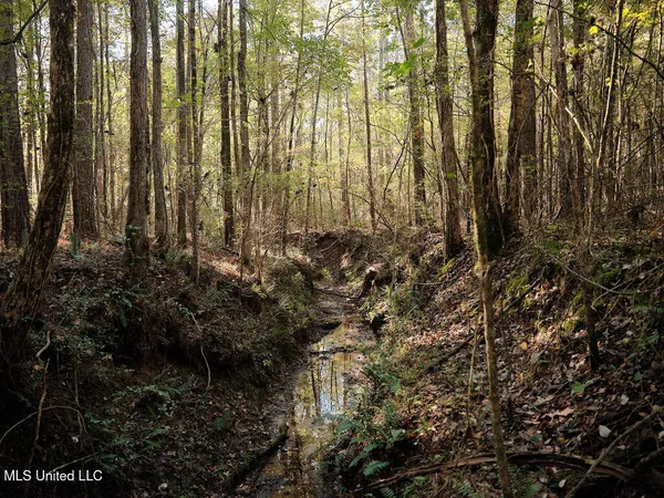 $750,000 | 0 Green Door Road, Eupora, MS 39744