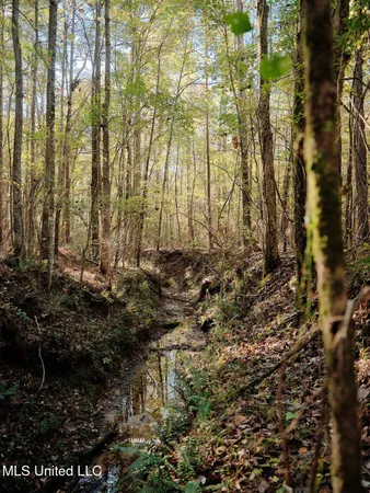 $750,000 | 0 Green Door Road, Eupora, MS 39744