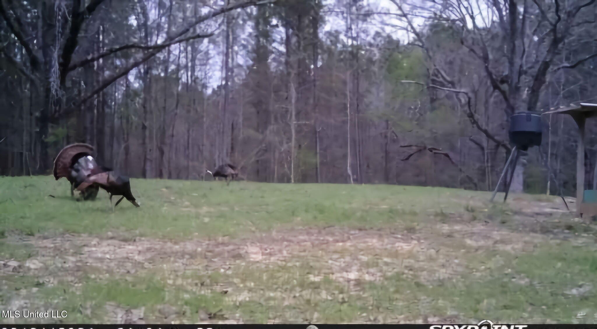 0 Green Door Road Eupora, MS 39744 - Photo 35 of 48 1215072385209485716