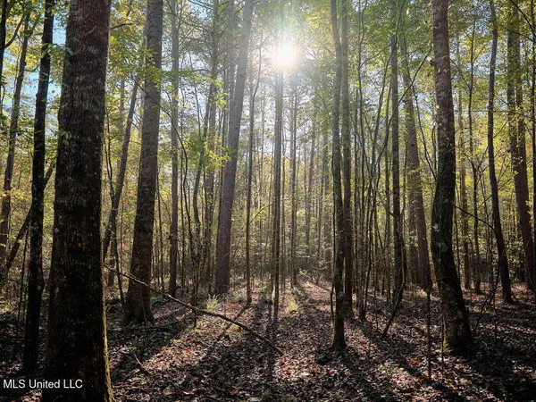 $750,000 | 0 Green Door Road, Eupora, MS 39744