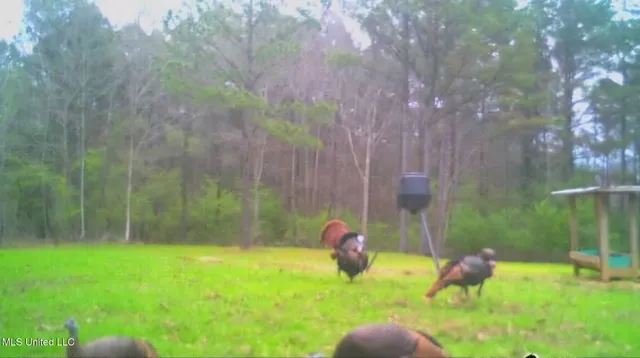 $804,600 | 0 Green Door Road, Eupora, MS 39744