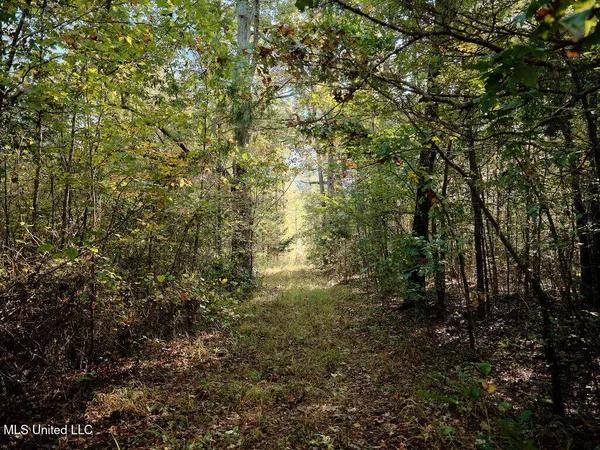 $750,000 | 0 Green Door Road, Eupora, MS 39744