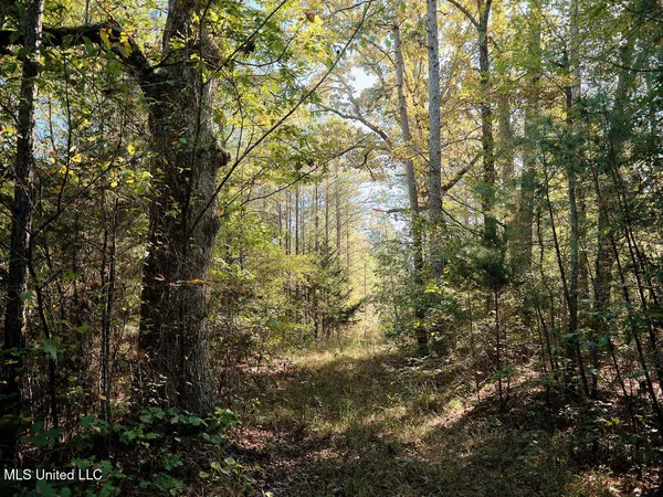 $750,000 | 0 Green Door Road, Eupora, MS 39744