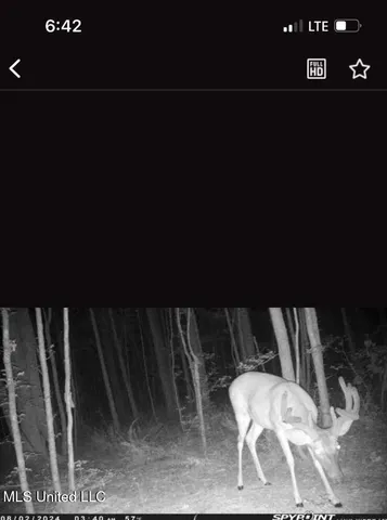 $804,600 | 0 Green Door Road, Eupora, MS 39744