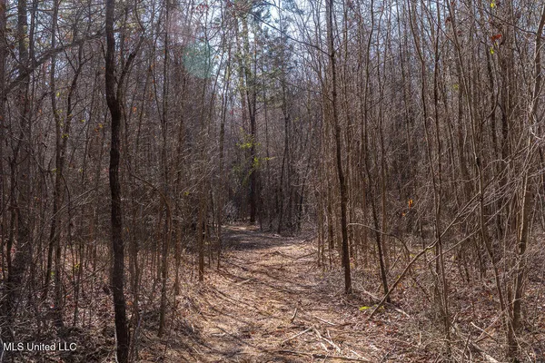 $750,000 | 0 Green Door Road, Eupora, MS 39744