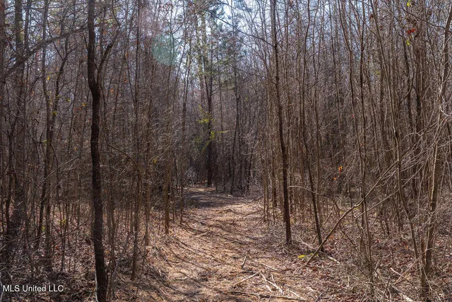 $750,000 | 0 Green Door Road, Eupora, MS 39744