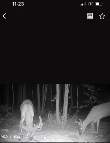 $804,600 | 0 Green Door Road, Eupora, MS 39744