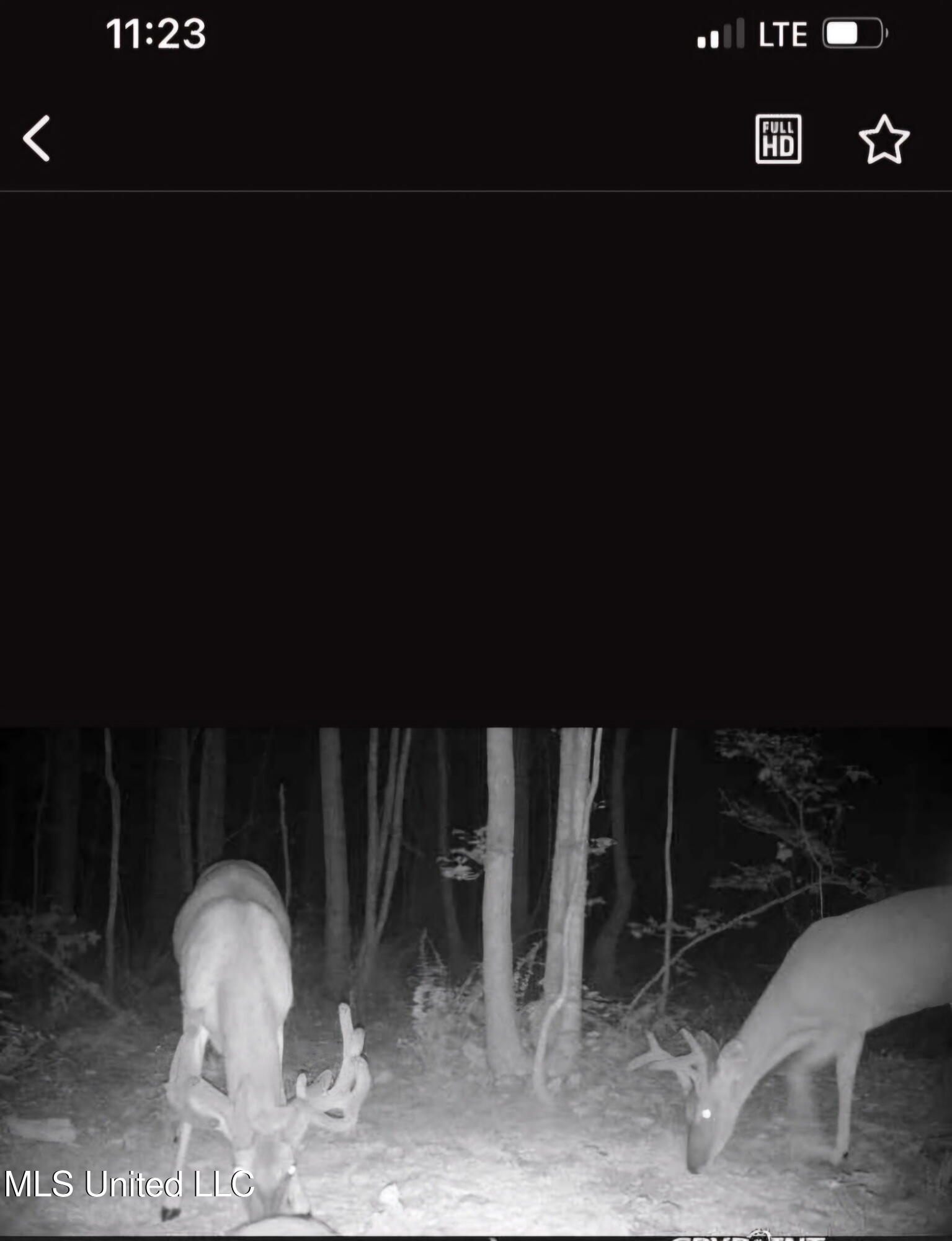 0 Green Door Road Eupora, MS 39744 - Photo 41 of 48 4827417730784572112