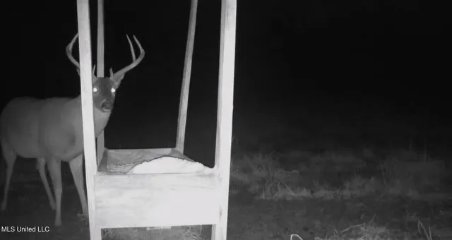 $804,600 | 0 Green Door Road, Eupora, MS 39744