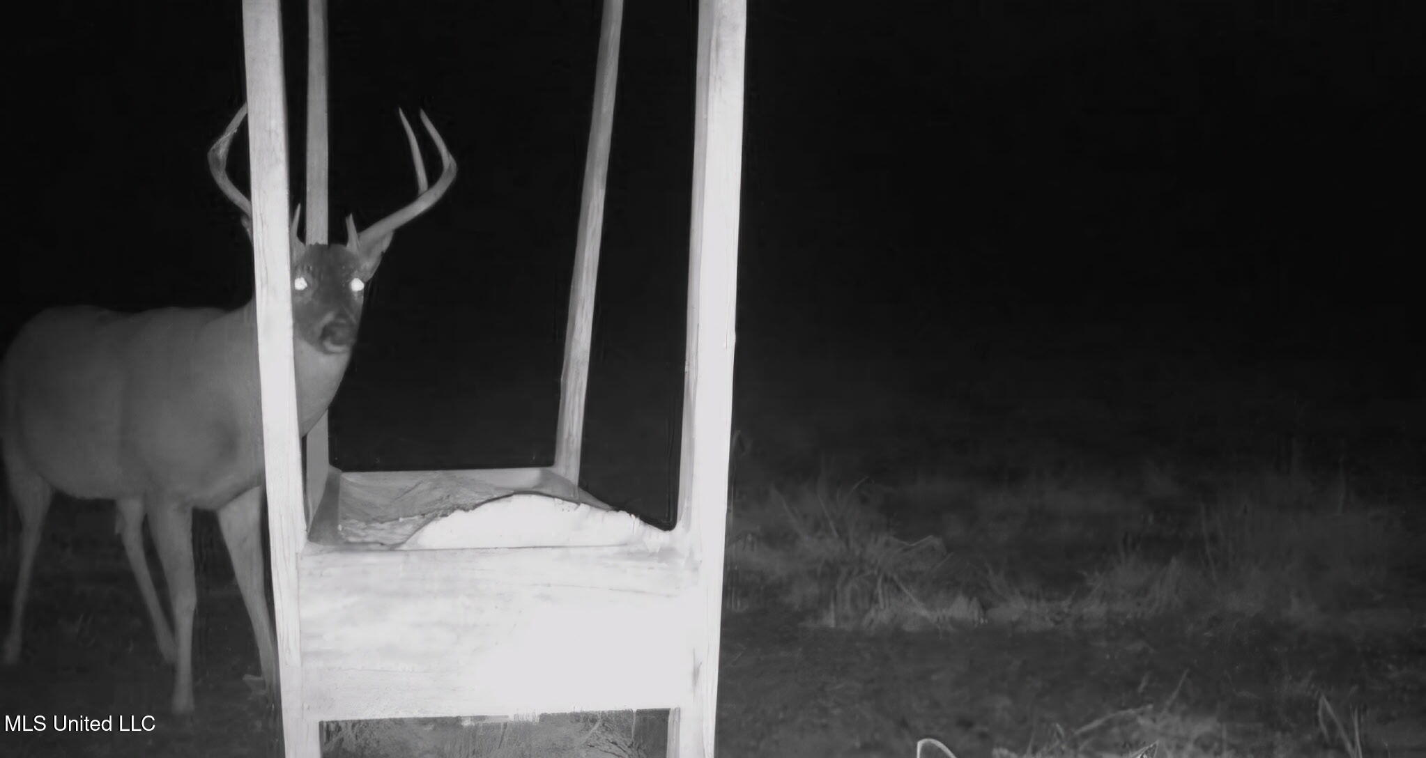 0 Green Door Road Eupora, MS 39744 - Photo 42 of 48 4293221365760699904