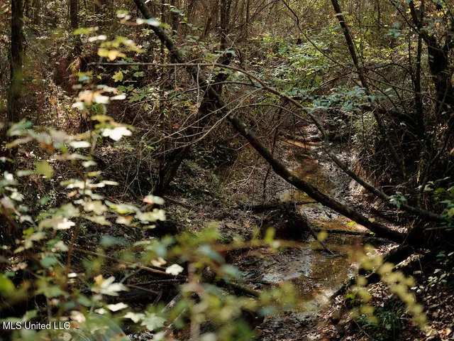 $750,000 | 0 Green Door Road, Eupora, MS 39744