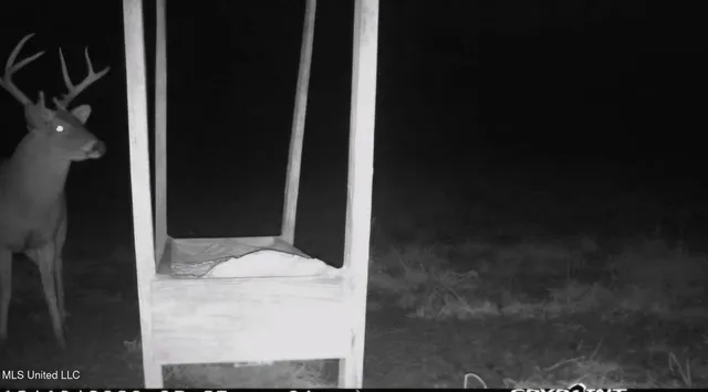 $804,600 | 0 Green Door Road, Eupora, MS 39744