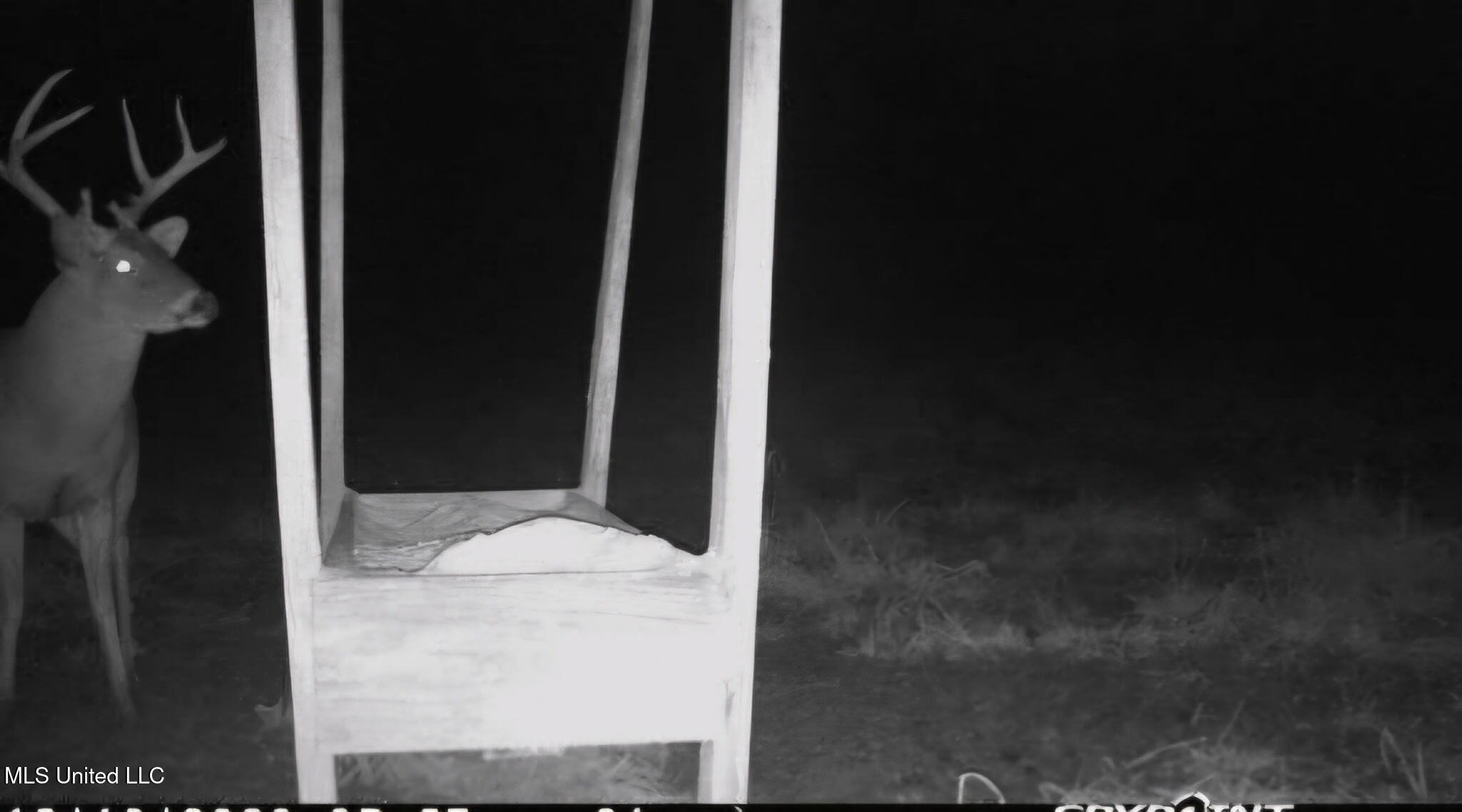 0 Green Door Road Eupora, MS 39744 - Photo 43 of 48 3462601558135296427