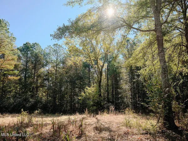 $750,000 | 0 Green Door Road, Eupora, MS 39744