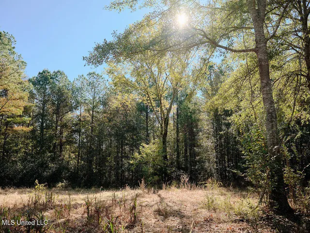 $750,000 | 0 Green Door Road, Eupora, MS 39744