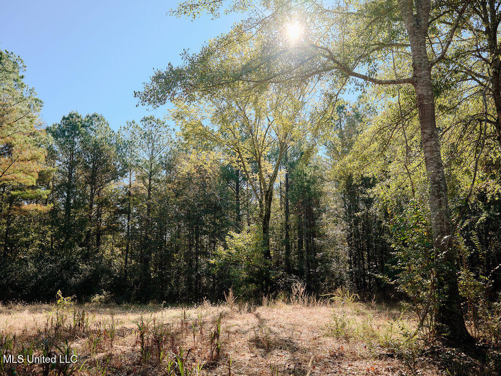 0 Green Door Road Eupora, MS 39744 - Photo 43 of 67 DSCF3286