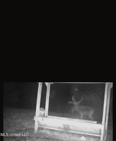 $804,600 | 0 Green Door Road, Eupora, MS 39744