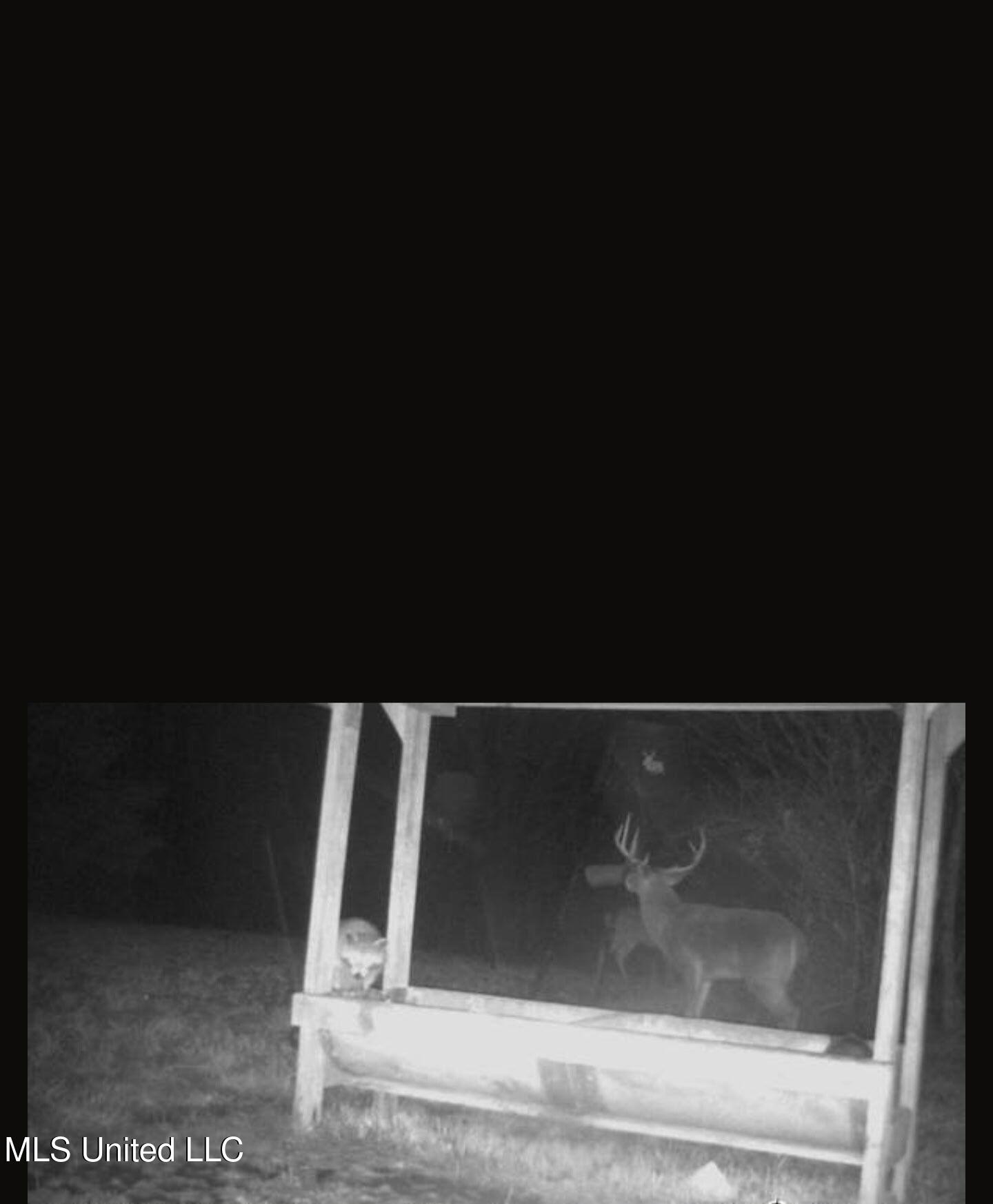 0 Green Door Road Eupora, MS 39744 - Photo 44 of 48 6508975536073168982