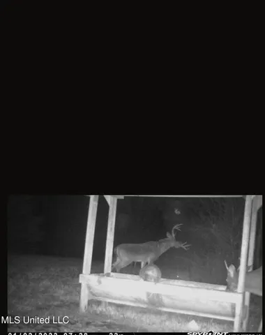 $804,600 | 0 Green Door Road, Eupora, MS 39744