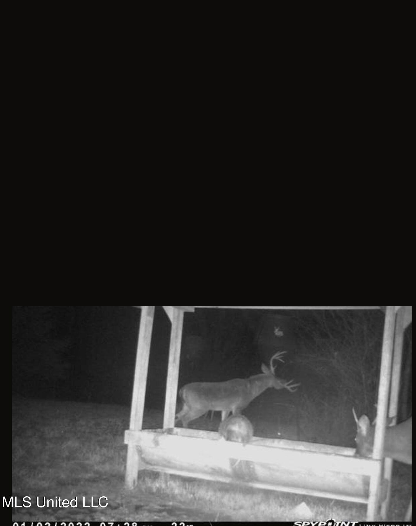 0 Green Door Road Eupora, MS 39744 - Photo 45 of 48 118133675975514488