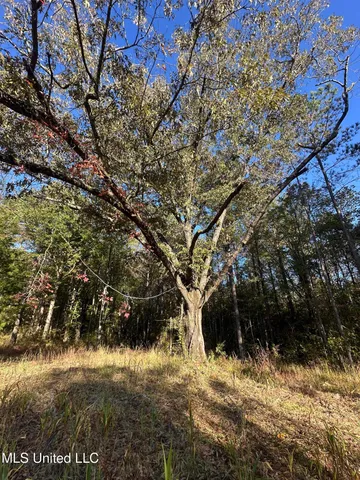 $804,600 | 0 Green Door Road, Eupora, MS 39744