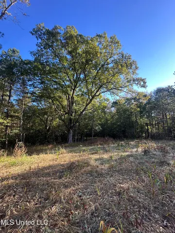 $804,600 | 0 Green Door Road, Eupora, MS 39744