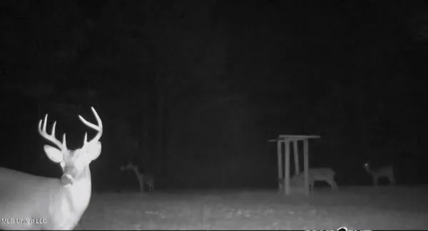 $750,000 | 0 Green Door Road, Eupora, MS 39744