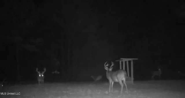 $750,000 | 0 Green Door Road, Eupora, MS 39744