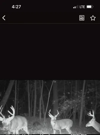 $750,000 | 0 Green Door Road, Eupora, MS 39744