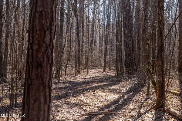 $750,000 | 0 Green Door Road, Eupora, MS 39744