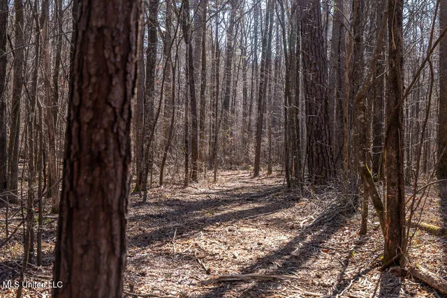 $750,000 | 0 Green Door Road, Eupora, MS 39744