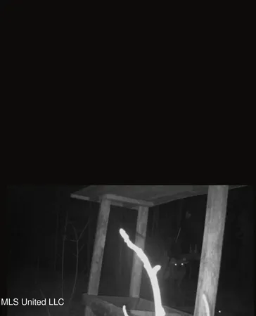 $750,000 | 0 Green Door Road, Eupora, MS 39744