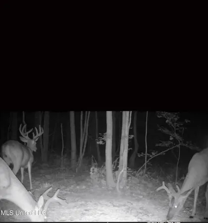 $750,000 | 0 Green Door Road, Eupora, MS 39744